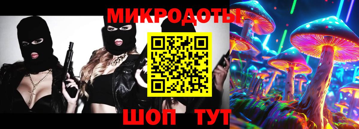 Псилоцибиновые грибы Psilocybe Новомосковск